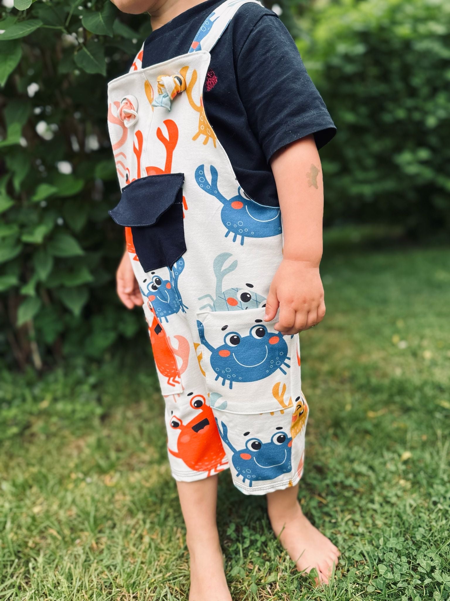 Kleiner Krebs Dauervorbestellung